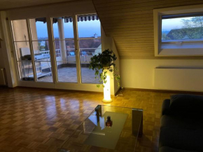 1 Zimmer, Wohnzimmer mit Kamin, Küche voll ausgestattet, großer Balkon mit Ausblick